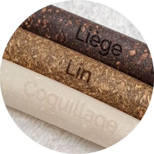 Manche Brosse à Dents Édith Rechargeable