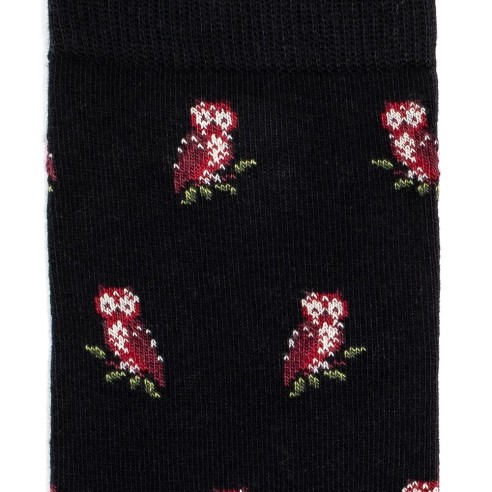 Nos chaussettes homme "Les Chouettes" noir - Maison Broussaud
