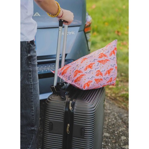 ISIDOR Kushiro | Coussin de voiture ado, adulte | Petits Cadors