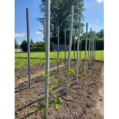 Tuteurs composites IPRA - FAGOT DE 25 unités section 2x2cm