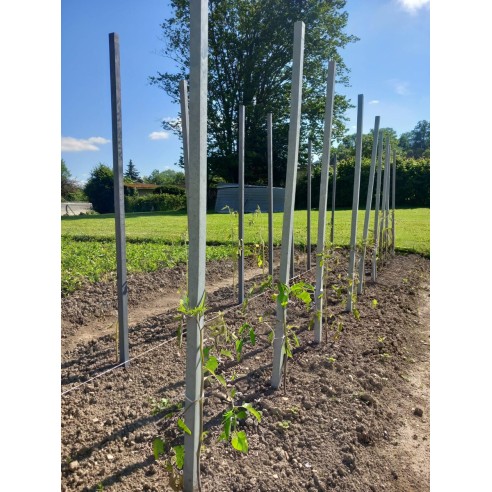 Tuteurs composites IPRA - FAGOT DE 25 unités section 2x2cm