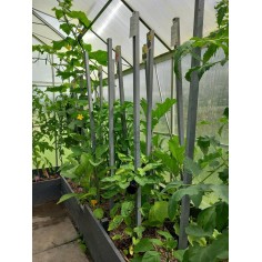 Tuteurs composites IPRA - FAGOT DE 25 unités section 2x2cm 2