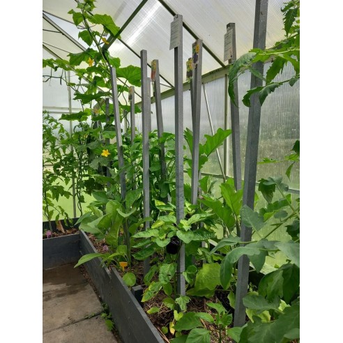 Tuteurs composites IPRA - FAGOT DE 25 unités section 2x2cm