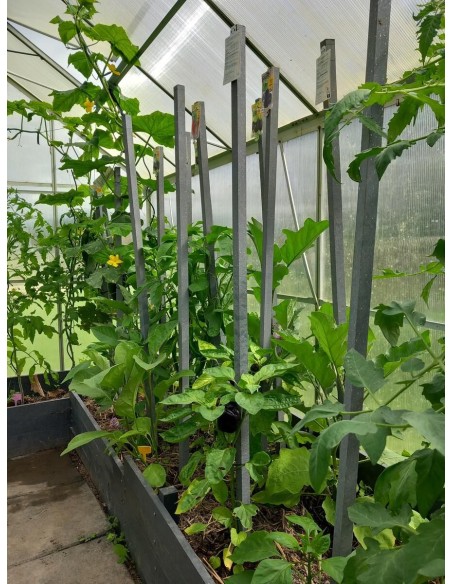 Tuteurs composites IPRA - FAGOT DE 25 unités section 2x2cm