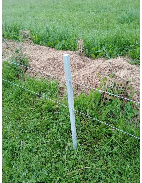 Tuteurs composites IPRA - FAGOT DE 25 unités section 2x2cm