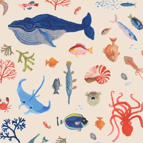 SALVADOR édition limitée | Un motif marin unique | Petits Cadors