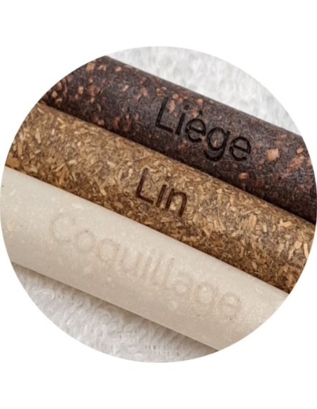 Manche Brosse à Dents Édith Rechargeable