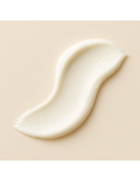 EXPO DEFENSE - Crème détox nuit anti-fatigue