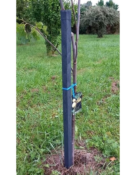 Poteau composite IPRA - Vendu à l'unité section 4x4cm