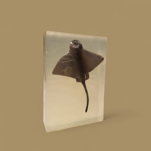 Savon Surprise – 99% d’ingrédients naturels • Avec jouet caché •