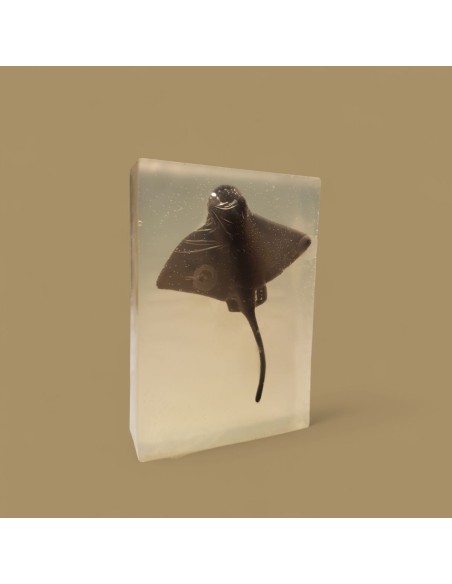 Savon Surprise – 99% d’ingrédients naturels • Avec jouet caché •