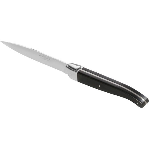 Couteau Jean Dubost Laguiole stand up premium noir