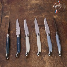 Bloc 6 couteaux Jean Dubost Laguiole coloris atelier 2