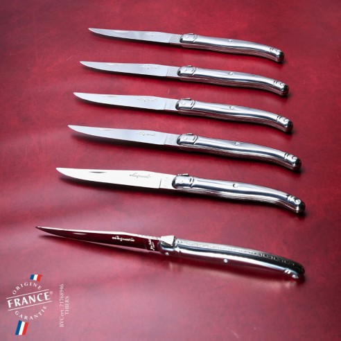 Couteaux tout inox premium Jean Dubost Laguiole®