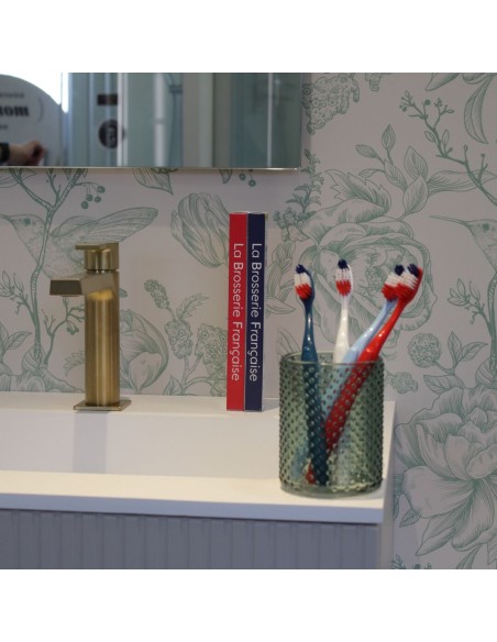 Brosse à dents française 1 euro disponible en 4 couleurs blanc rouge bleu foncé et bleu ciel
