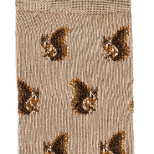 Nos chaussettes homme "Les Ecureuils" écru - Maison Broussaud