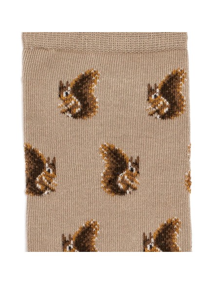 Nos chaussettes homme "Les Ecureuils" écru - Maison Broussaud