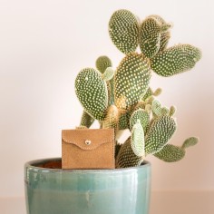 Etui à cartes Balance en cuir Pailleté Bronze