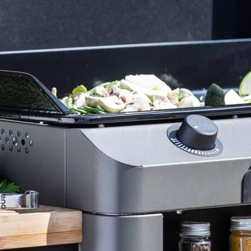 Combo Plancha gaz sur chariot- Fusion 75 - Gris cargo