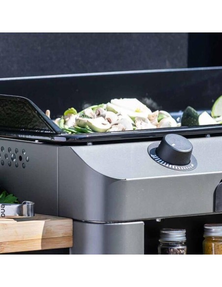 Combo Plancha gaz sur chariot- Fusion 75 - Gris cargo