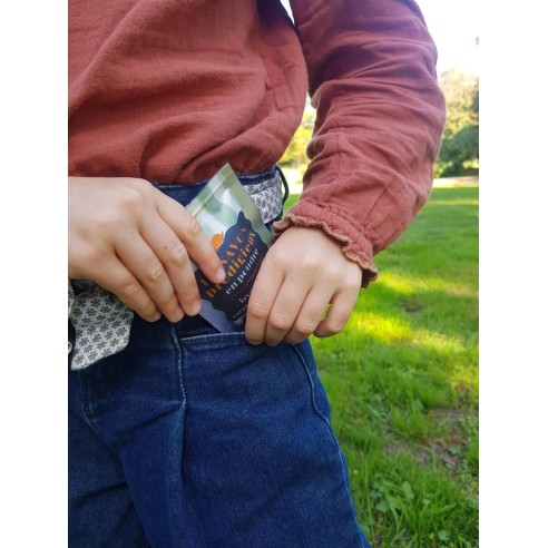 POUDRE DE SAVON PRODIGIEUX