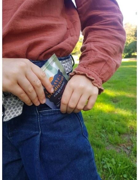 POUDRE DE SAVON PRODIGIEUX