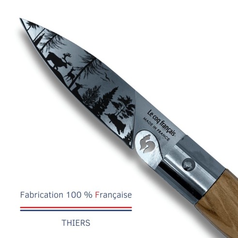 Carte Duo Nature - Couteau de poche Le Coq Authentique Forêt - manche chêne + étui