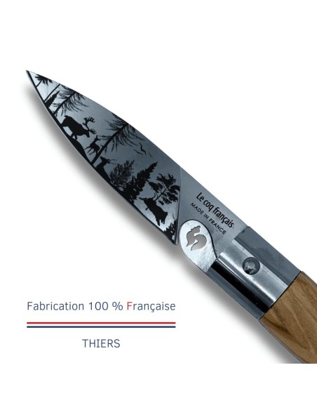 Carte Duo Nature - Couteau de poche Le Coq Authentique Forêt - manche chêne + étui