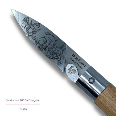 Carte Duo Nature - Couteau de poche Le Coq Authentique Champignon - manche chêne + étui