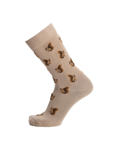 Nos chaussettes homme "Les Ecureuils" écru - Maison Broussaud