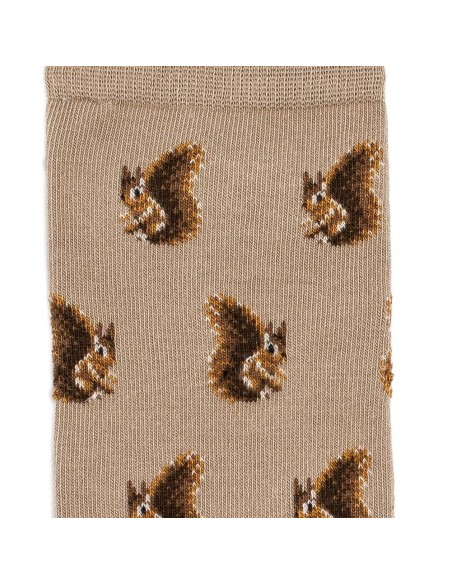 Nos chaussettes homme "Les Ecureuils" écru - Maison Broussaud