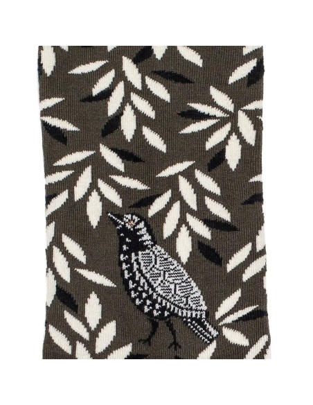 Nos chaussettes femme "Oiseau" kaki - Maison Broussaud