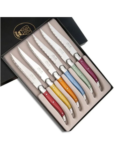 Coffret de 6 Couteaux à steak laguiole ABS coloris assortis