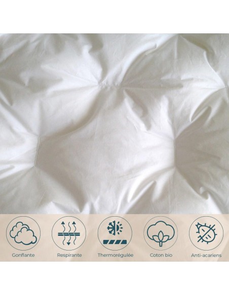 Couette enfant coton bio 100x140 cm 90% duvet neuf canard