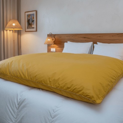 Édredon gonflant couleur 90% duvet neuf canard enveloppe jacquard