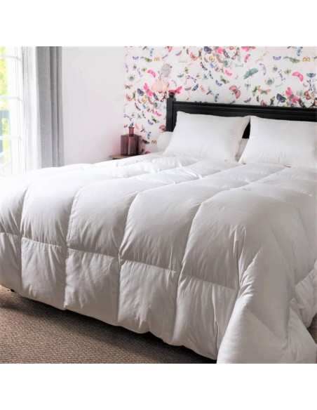 Couette Couple 90% duvet neuf canard