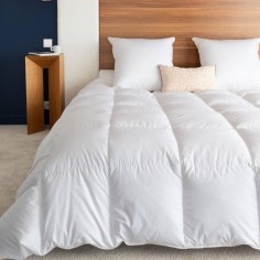 Couette king size très chaude 90% duvet neuf canard