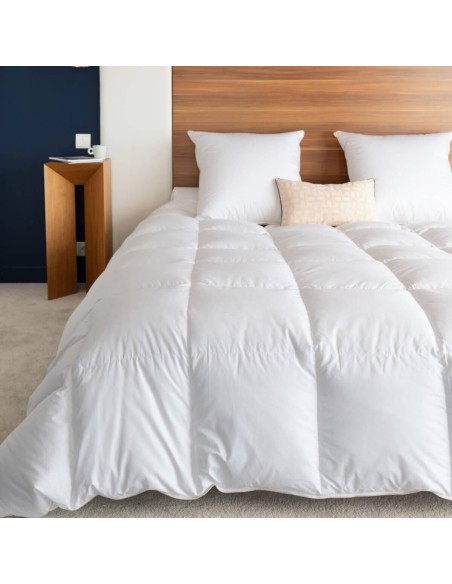 Couette king size très chaude 90% duvet neuf canard
