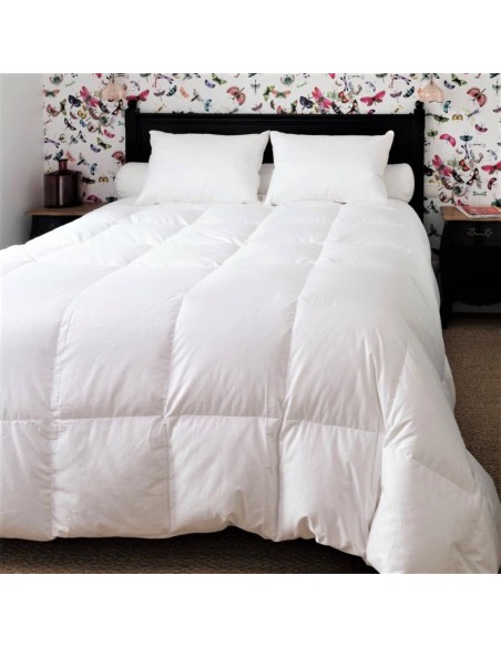 Couette king size Couple 90% duvet neuf canard