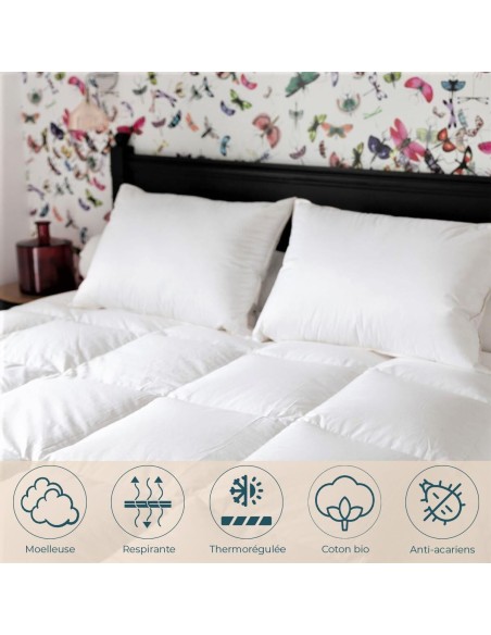 Couette king size Couple 90% duvet neuf canard