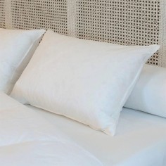 Oreiller mi-ferme Duvet-Plumettes neufs canard