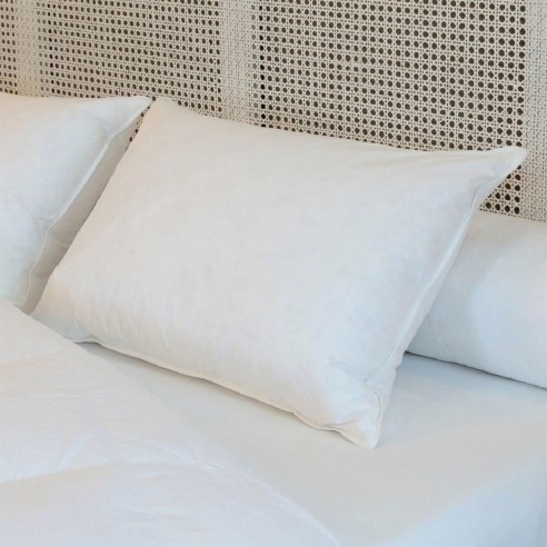 Oreiller mi-ferme Duvet-Plumettes neufs canard