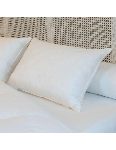 Oreiller mi-ferme Duvet-Plumettes neufs canard