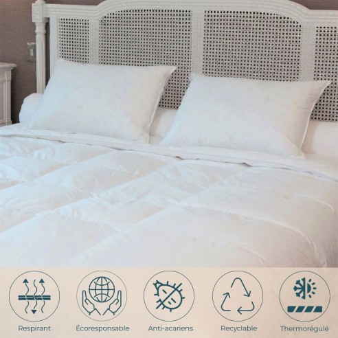 Oreiller mi-ferme Duvet-Plumettes neufs canard