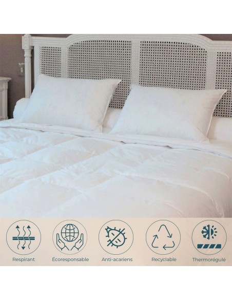 Oreiller mi-ferme Duvet-Plumettes neufs canard