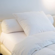 Traversin mi-ferme Duvet-Plumettes neufs canard 2