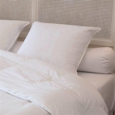 Oreiller plat moelleux Duvet-Plumettes neufs canard