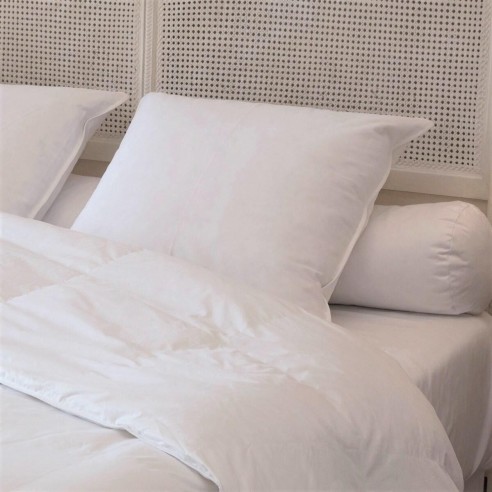 Oreiller plat moelleux Duvet-Plumettes neufs canard