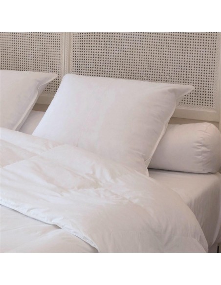 Oreiller plat moelleux Duvet-Plumettes neufs canard