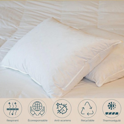 Oreiller plat moelleux Duvet-Plumettes neufs canard